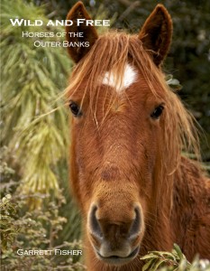 Cover - Horse Book
